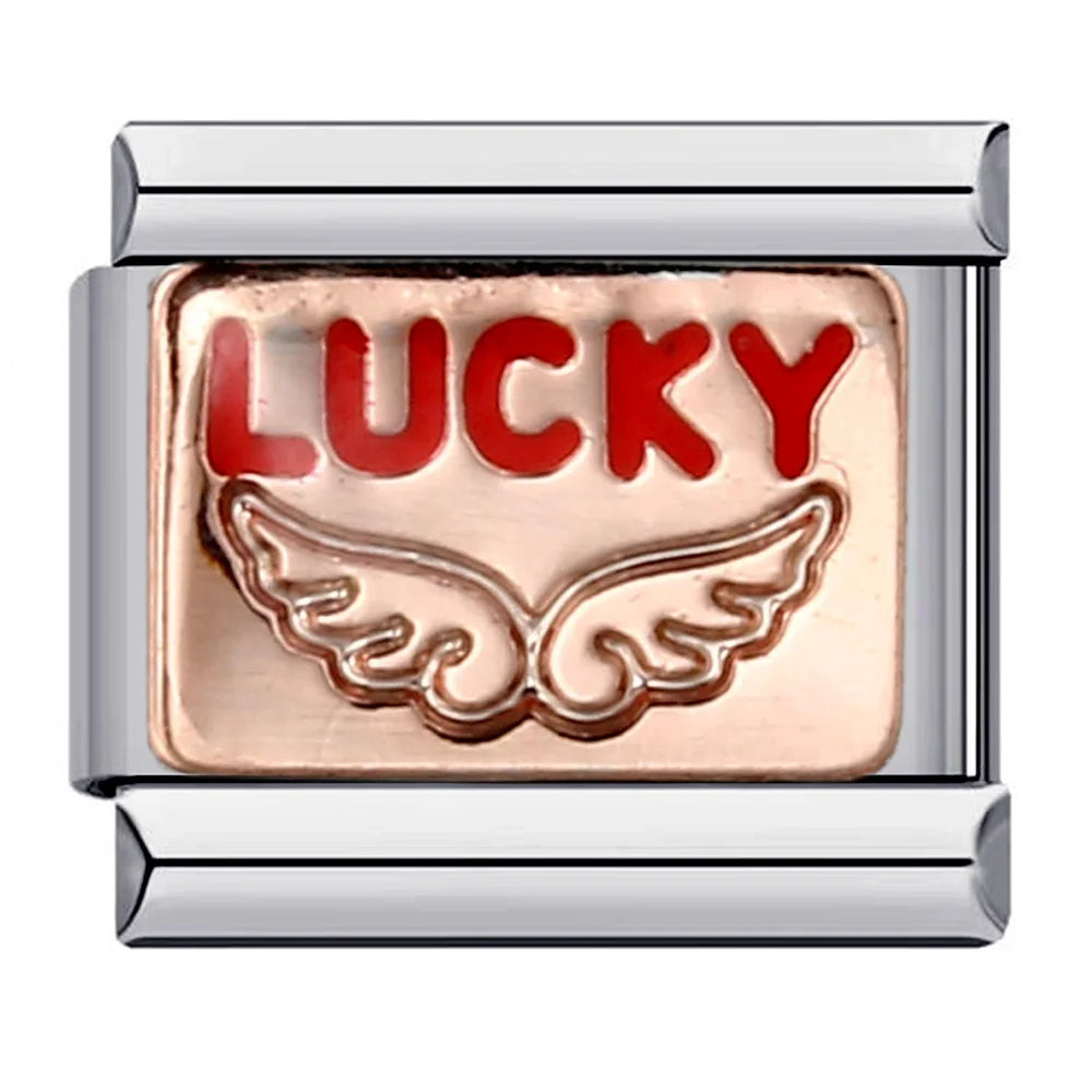 GEMOSA Glazed Italian Charm — Bold & Lucky Link for 9MM Bracelets  Trendy DIY Stainless Steel Jewelry